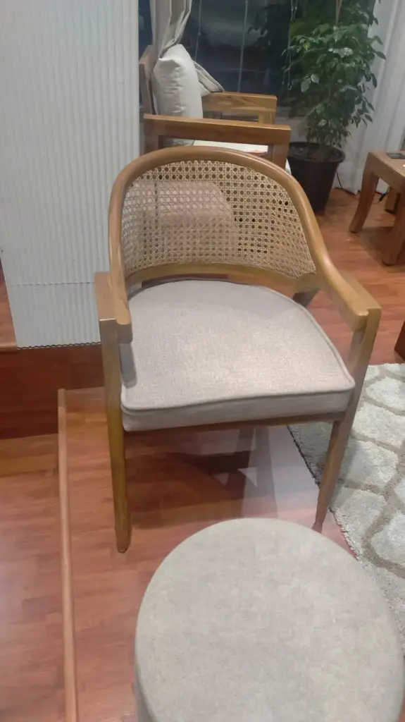 [NADC10095] Dining Chair - GLEAM